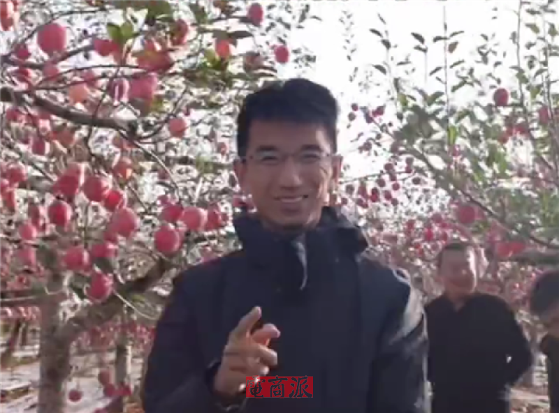 孙东旭新公司开卖自营苹果:做号的小老板该不该跟